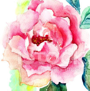 Meet your Posher, Brynlee